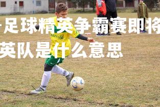 1xbet中国官网-足球精英争霸赛即将开幕，球迷关注度飙升，足球精英队是什么意思