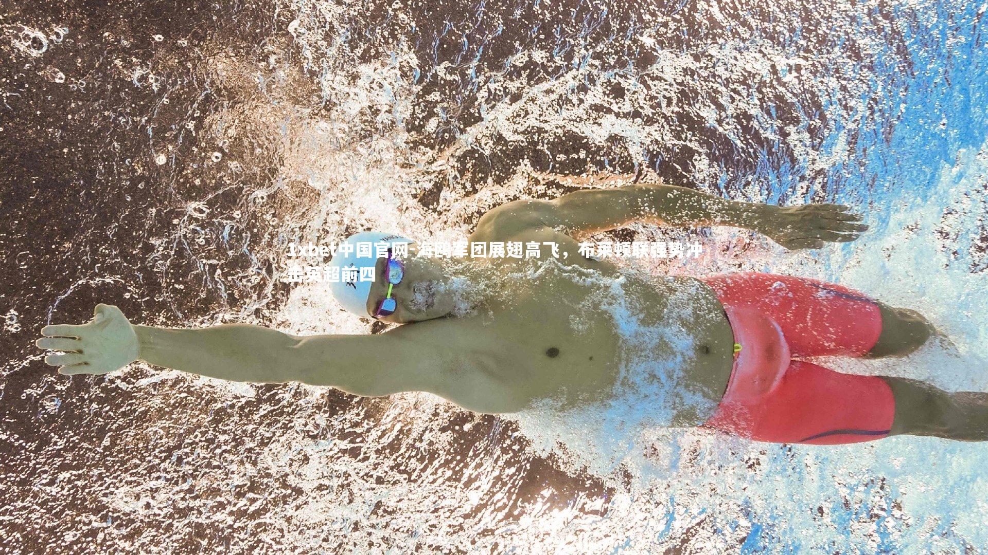 海鸥军团展翅高飞，布莱顿联强势冲击英超前四