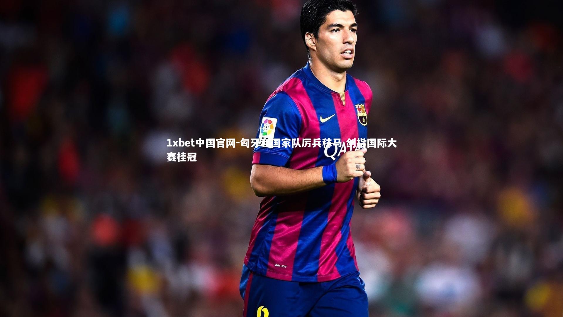 匈牙利国家队厉兵秣马 剑指国际大赛桂冠